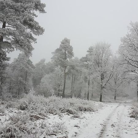 B&B"De Hassehof" Sellingen Bagian luar foto